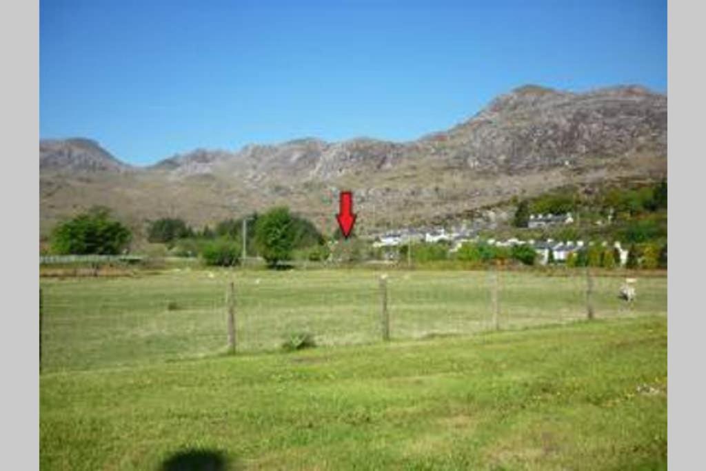 Moelwyn Cottage Blaenau Ffestiniog Eksteriør billede